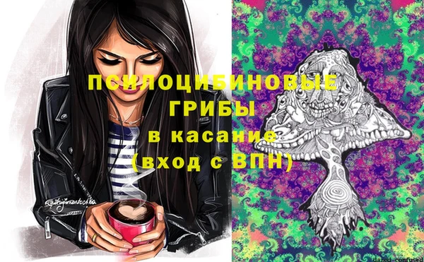бошки Алексеевка