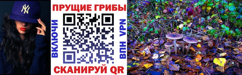 Галлюциногенные грибы прущие грибы  MEGA ССЫЛКА  Фурманов 